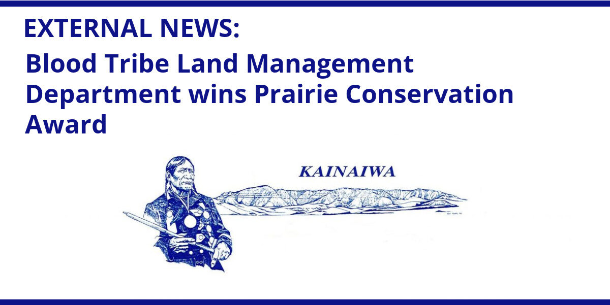 Blood Tribe Land Management Department wins Prairie Conservation Award Land Management staff all pose for a photo with their Prairie Conservation Award at the Shot Both Sides Building in Standoff, AB, on June 5, 2026. Photo by Amber Sugai, Blood Tribe Communications Officer